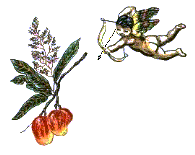 cupidanimation4.gif